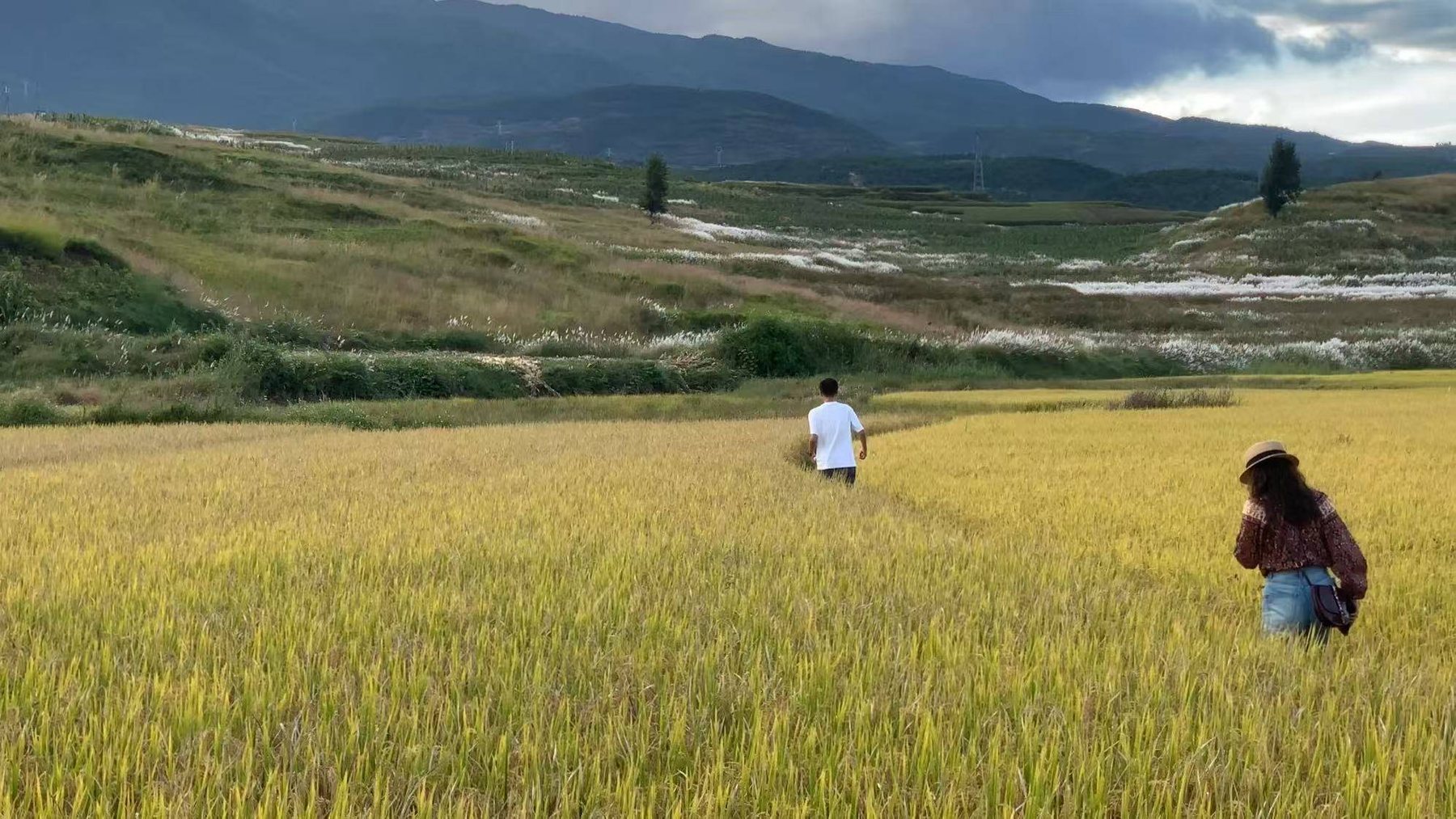 펑위 시골 여행 | 따리 한쪽 구석 21