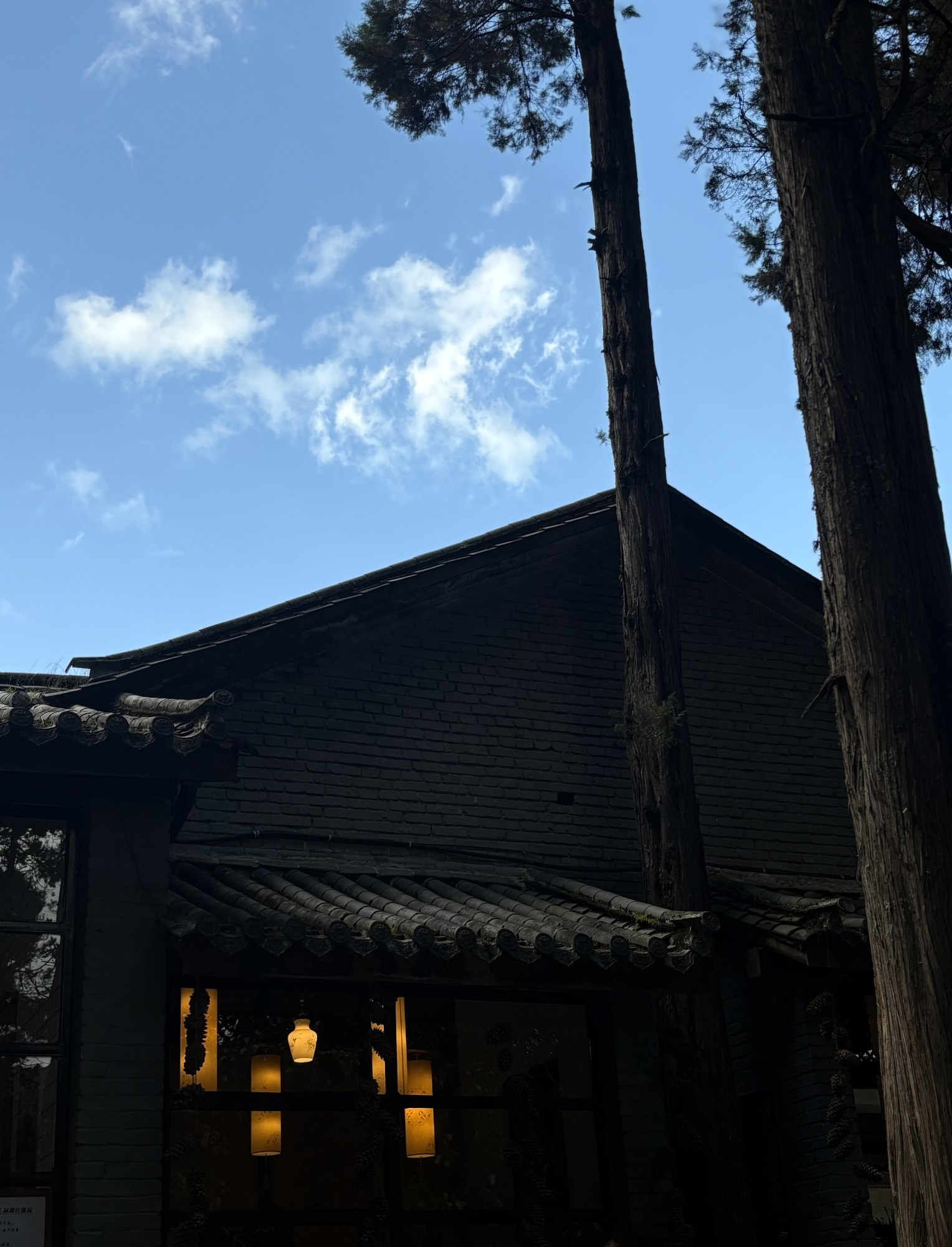 蒼山の野道で松ぼっくり拾い | 寂照庵で精進料理