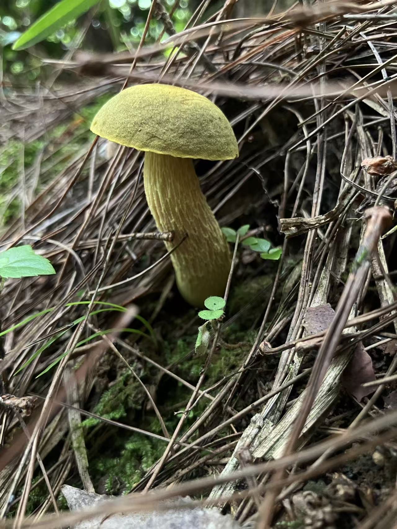 活动正文图片