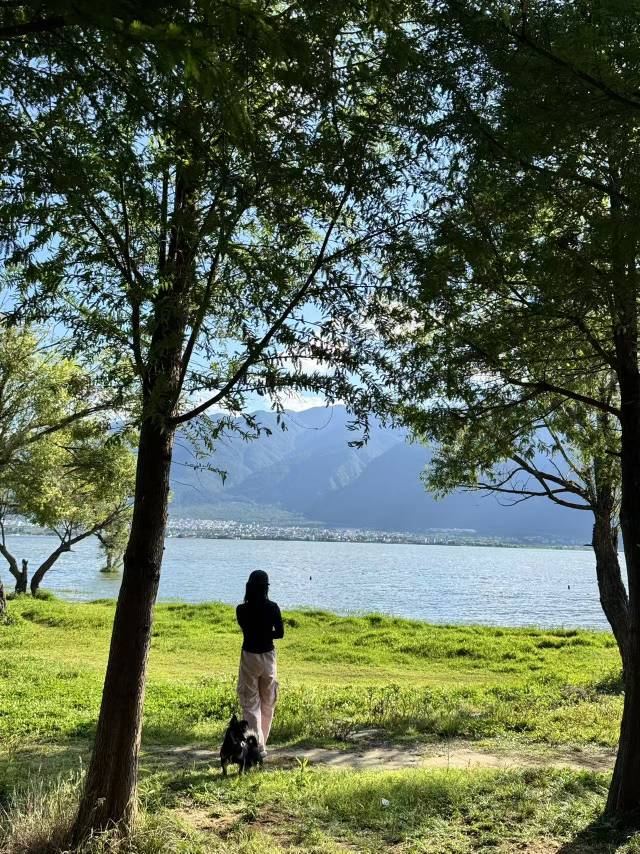 伙山轻徒步 ｜环1/2洱海苍山洱海的日落晚霞 17
