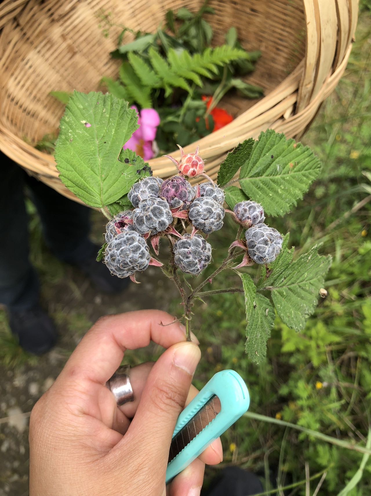 活动正文图片