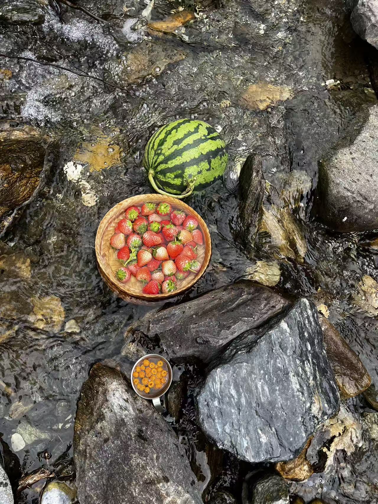 活动正文图片