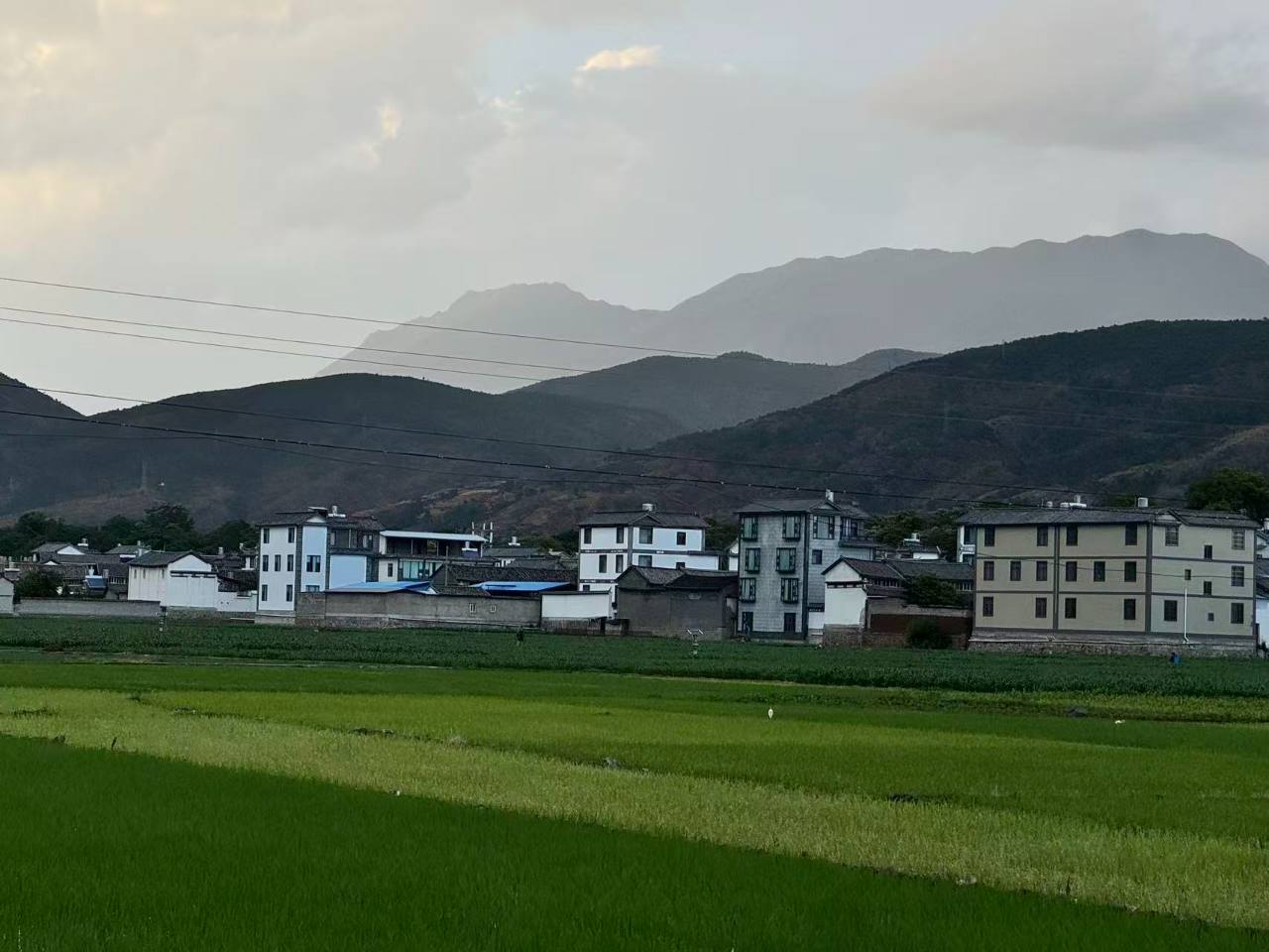 얼위안 시골 여행 | 루샨 만들기 체험, 배 타기, 시골 들판 산책 18
