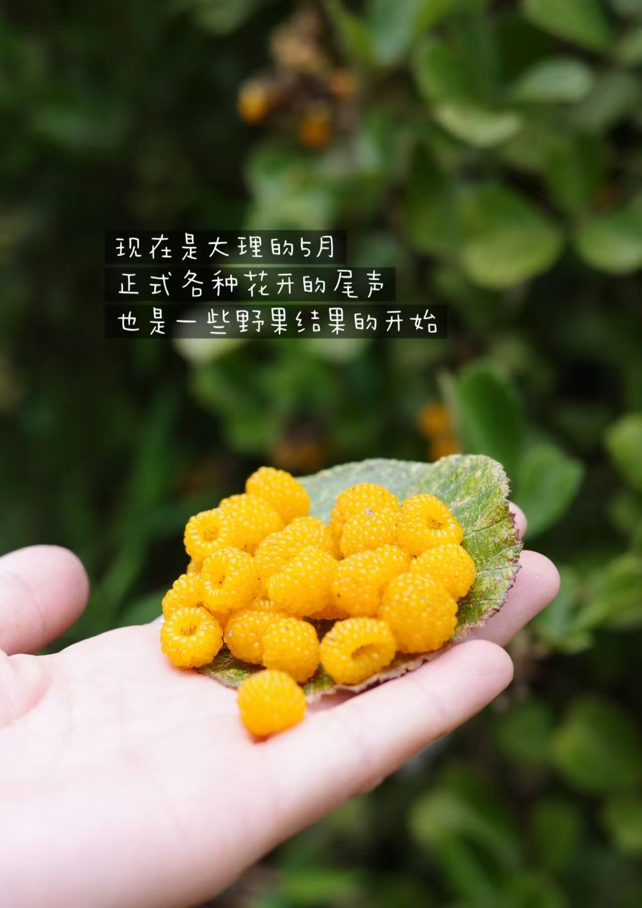 活动正文图片