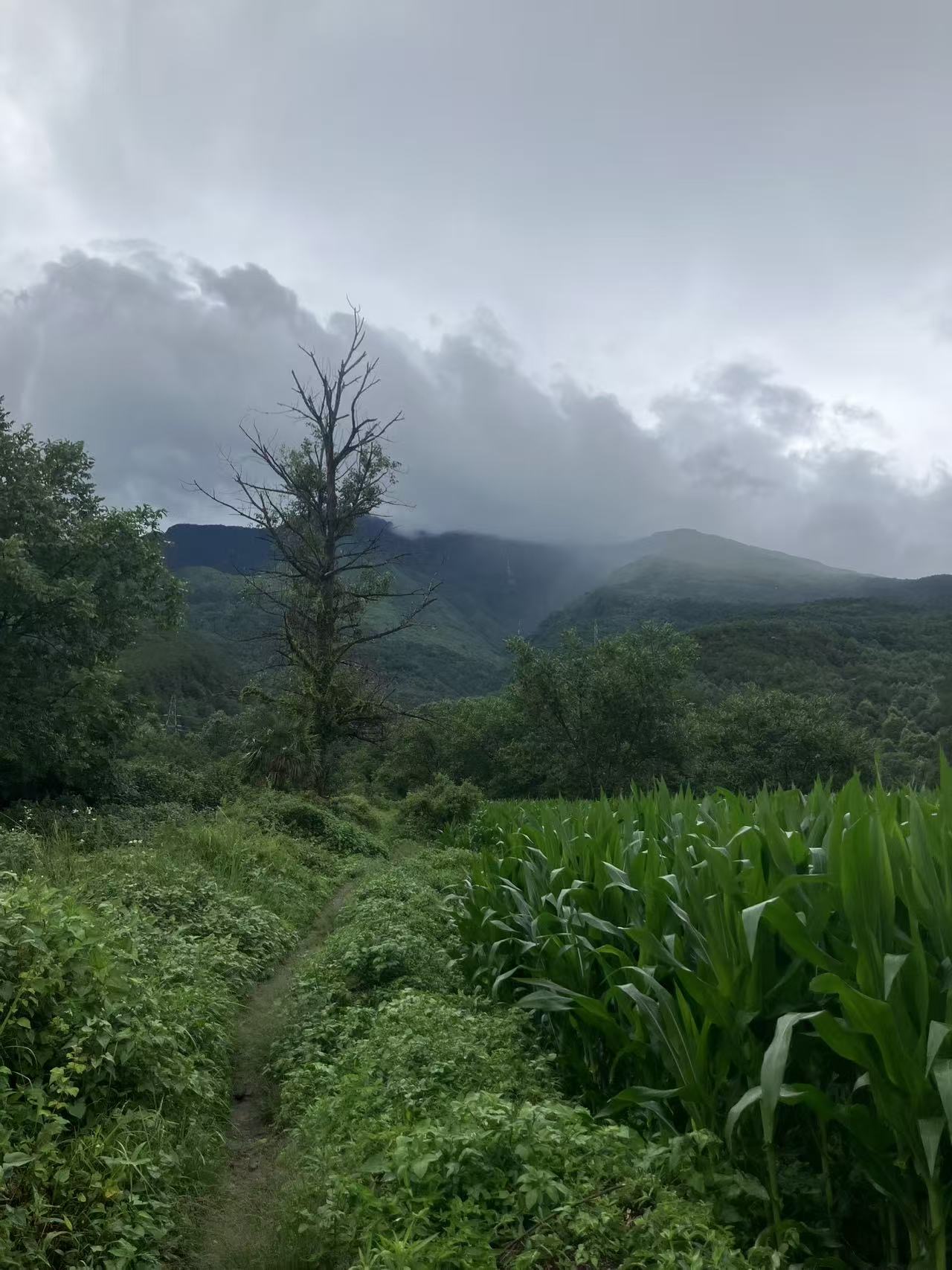 活动正文图片