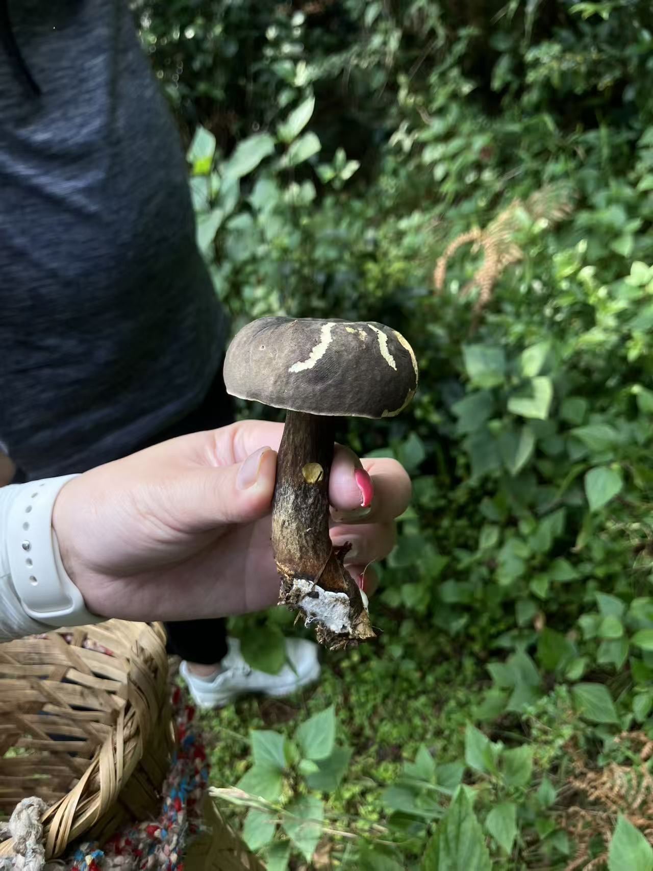 活动正文图片