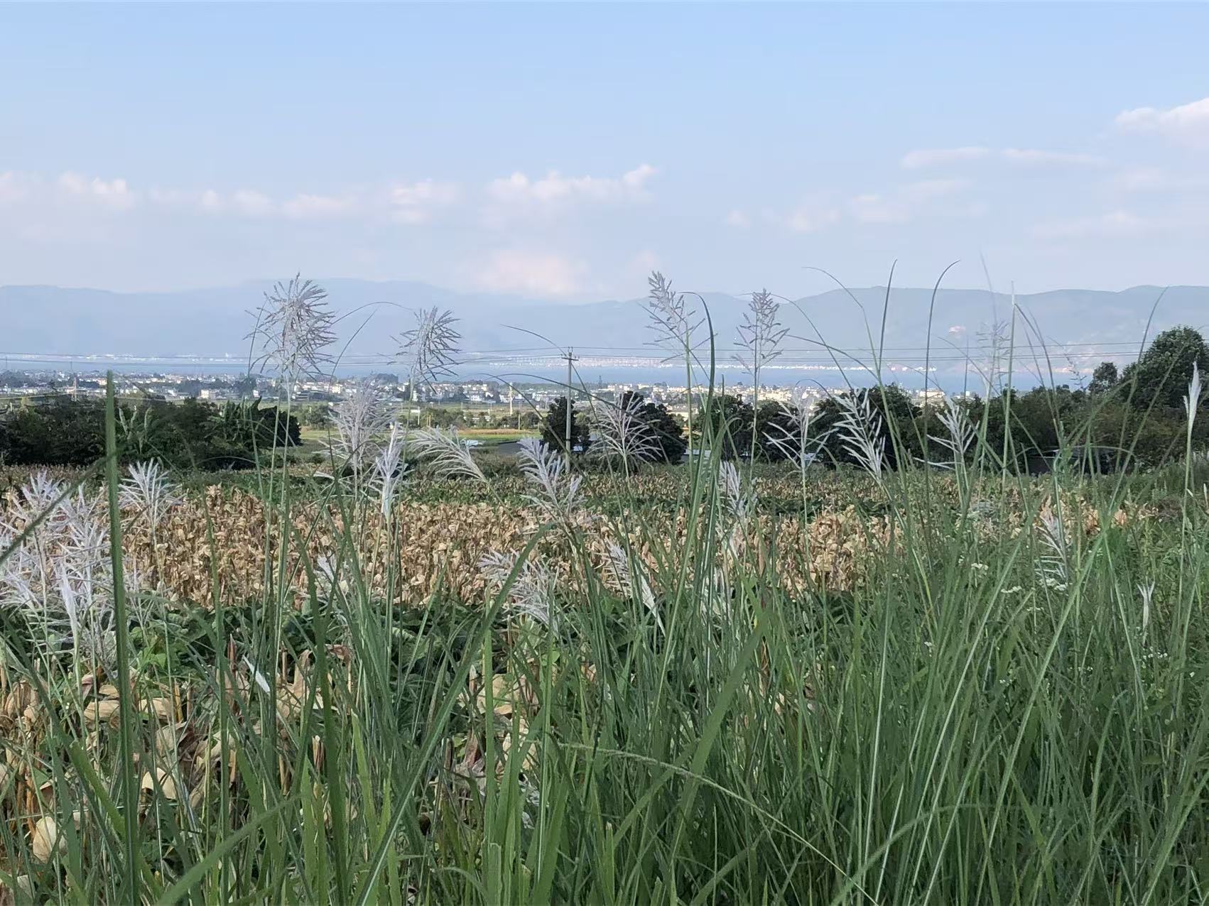 活动正文图片
