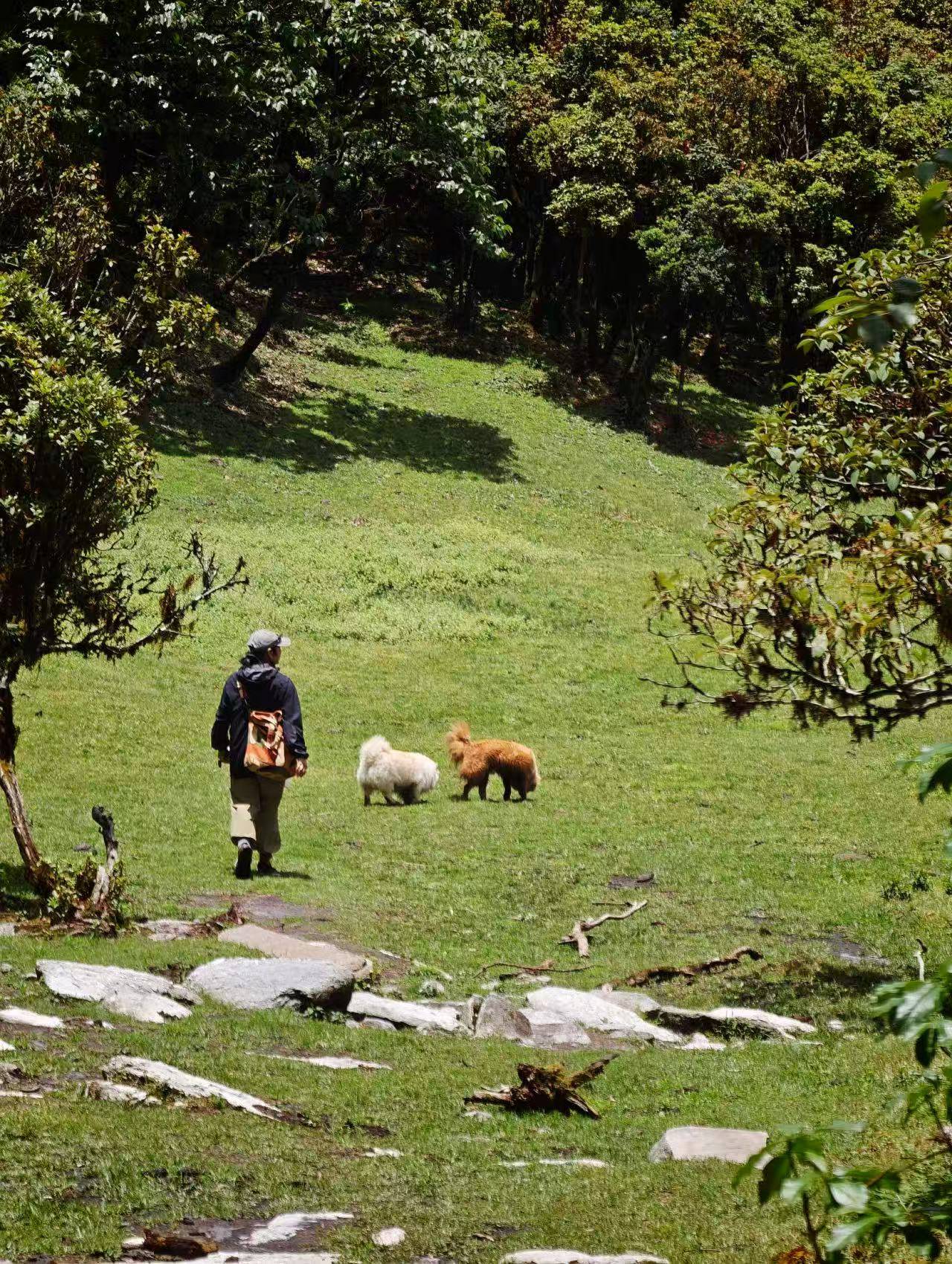 Hanhan's Ailao Mountain Forest Hiking (2-Day Trip) 9