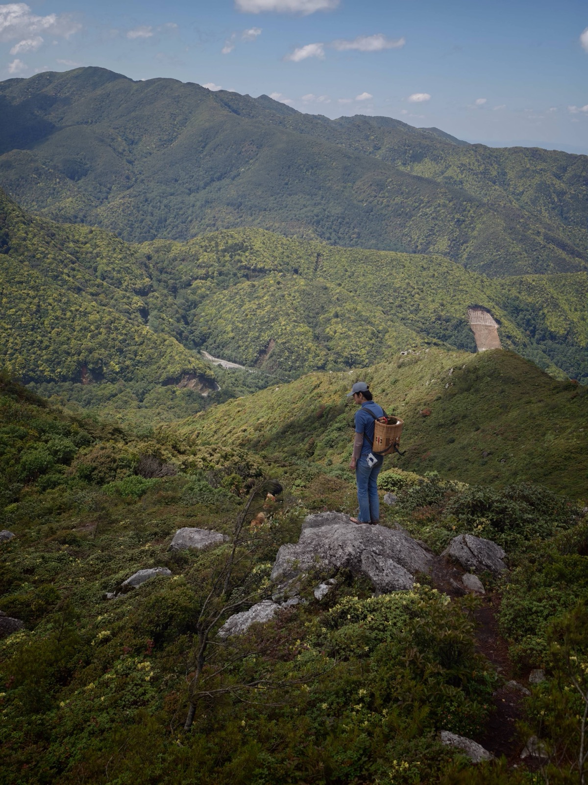 Hanhan's Ailao Mountain Forest Hiking (2-Day Trip) 11