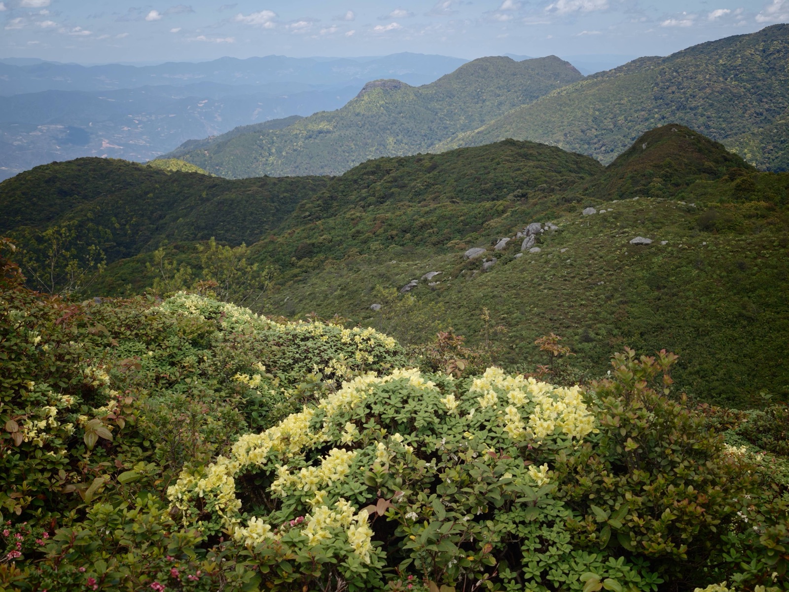 Hanhan's Ailao Mountain Forest Hiking (2-Day Trip) 13