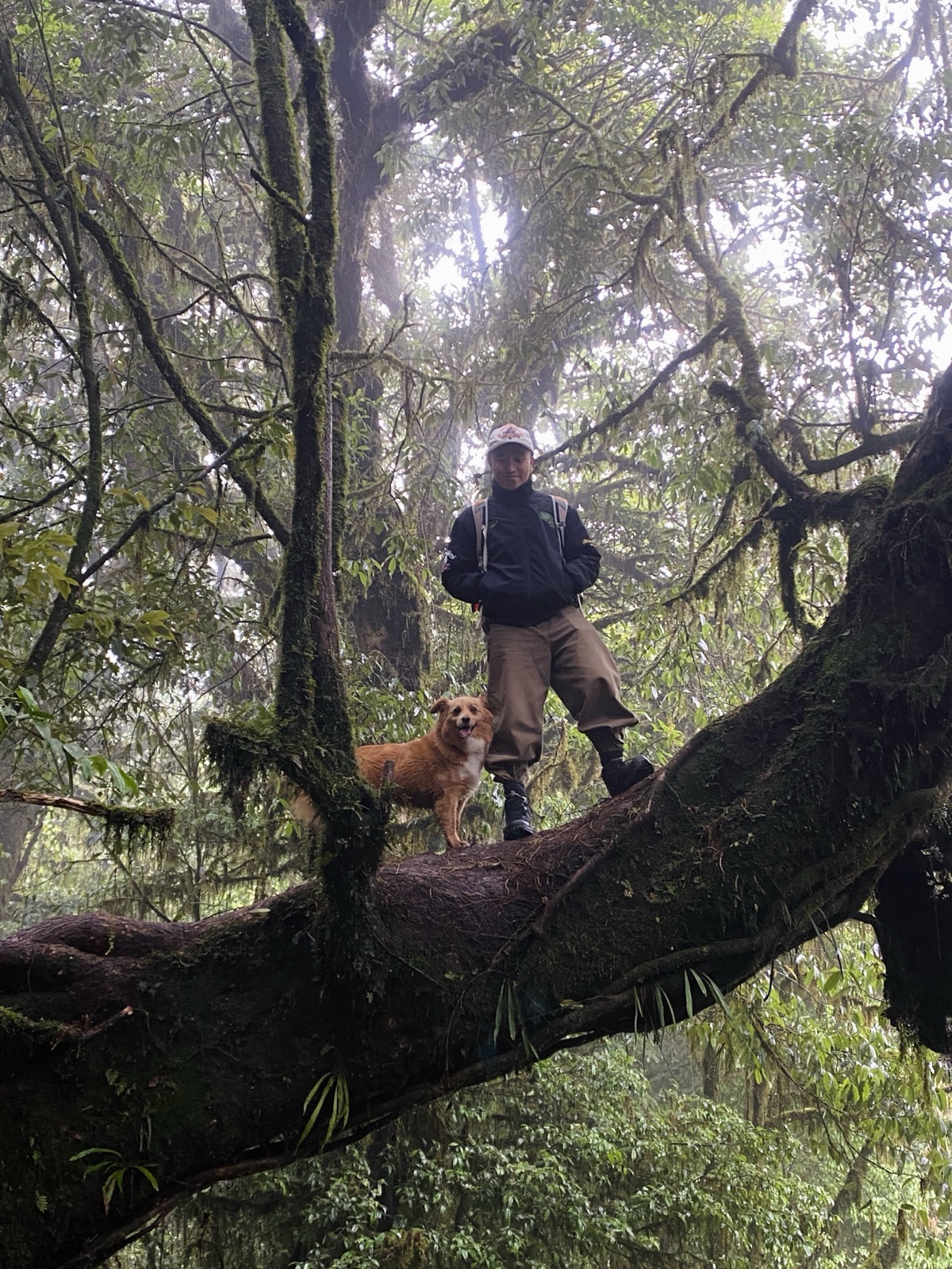 Hanhan's Ailao Mountain Forest Hiking (2-Day Trip) 15