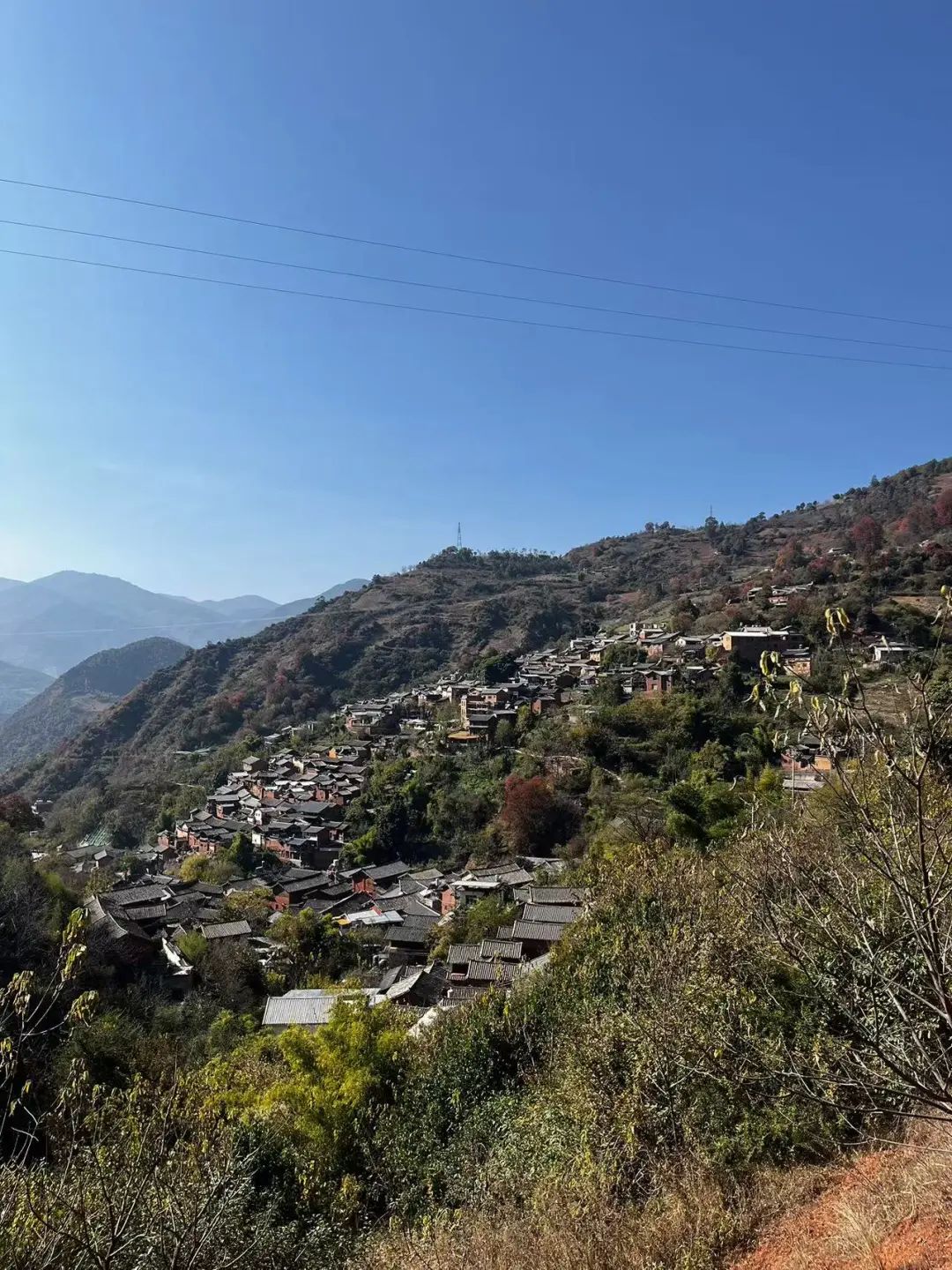 「諾鄧雲龍」の旅 | 雲龍の山奥へ 6