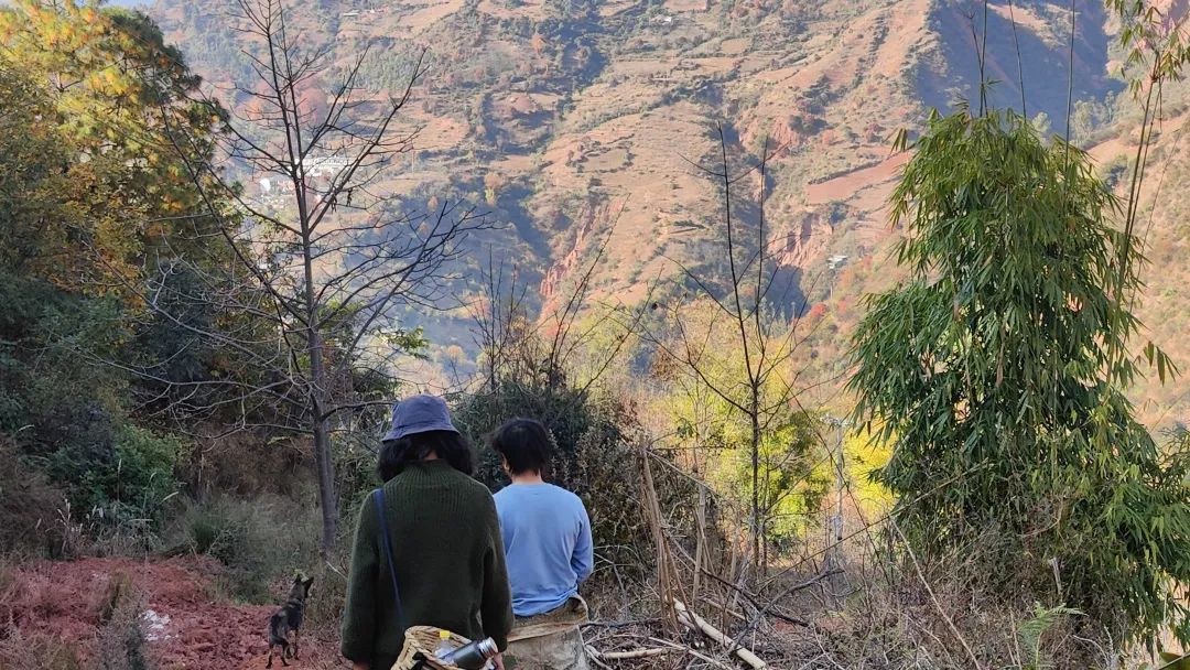 「諾鄧雲龍」の旅 | 雲龍の山奥へ 13
