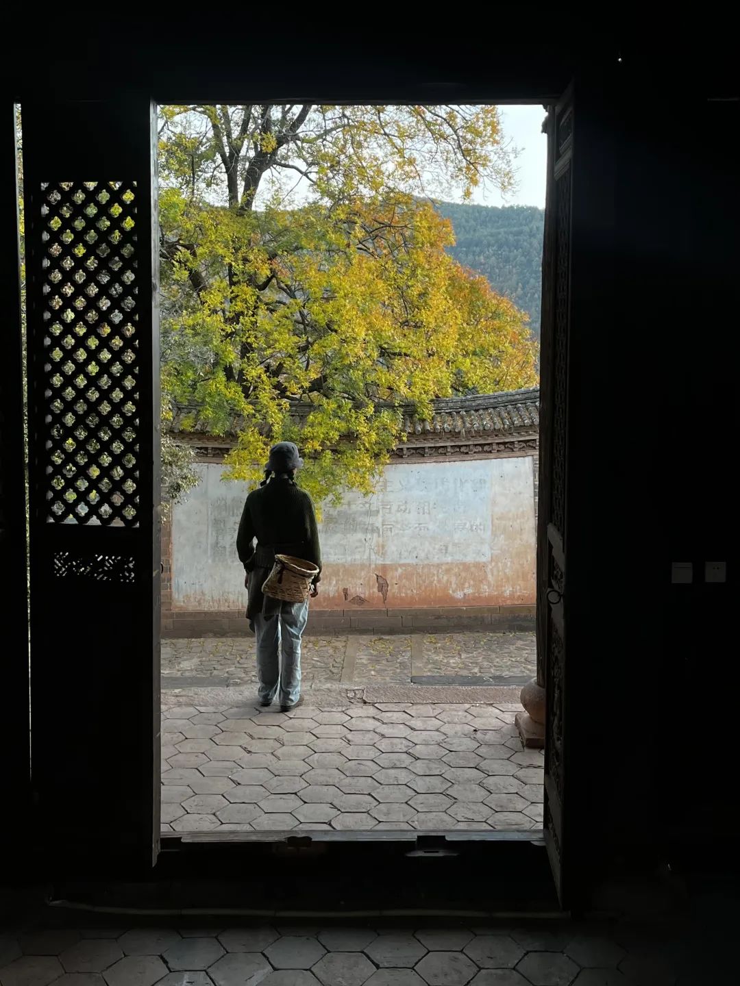 「諾鄧雲龍」の旅 | 雲龍の山奥へ 15